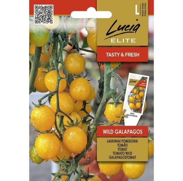 Kirsikkatomaatti, villitomaatti